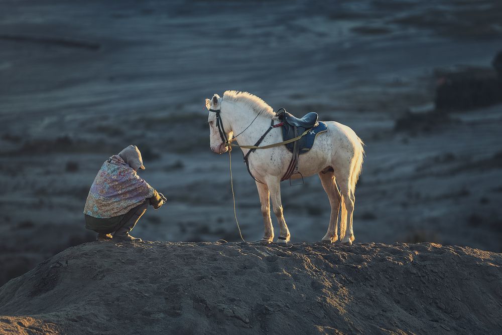 Photograph by Aws Zuhair