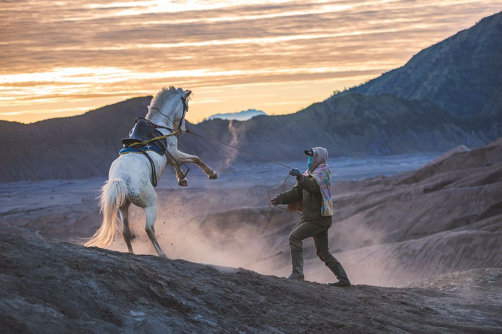 Photograph by Aws Zuhair