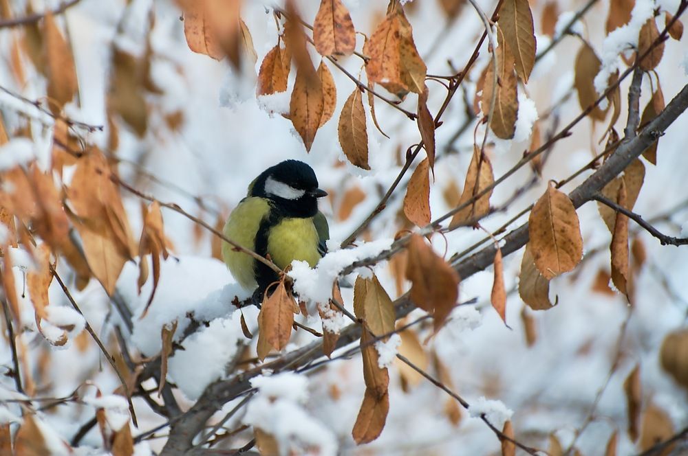 Photograph by Сергей Мур