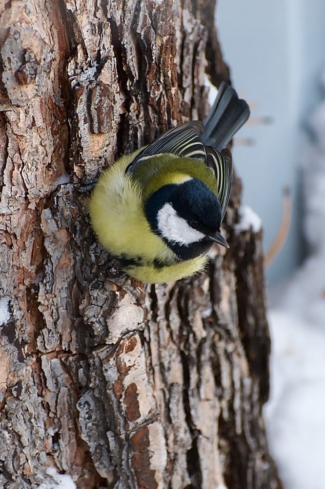Photograph by Сергей Мур