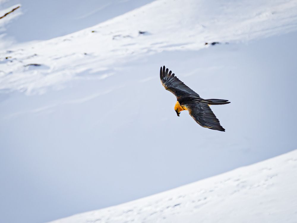 Photograph by Игорь Толкачев