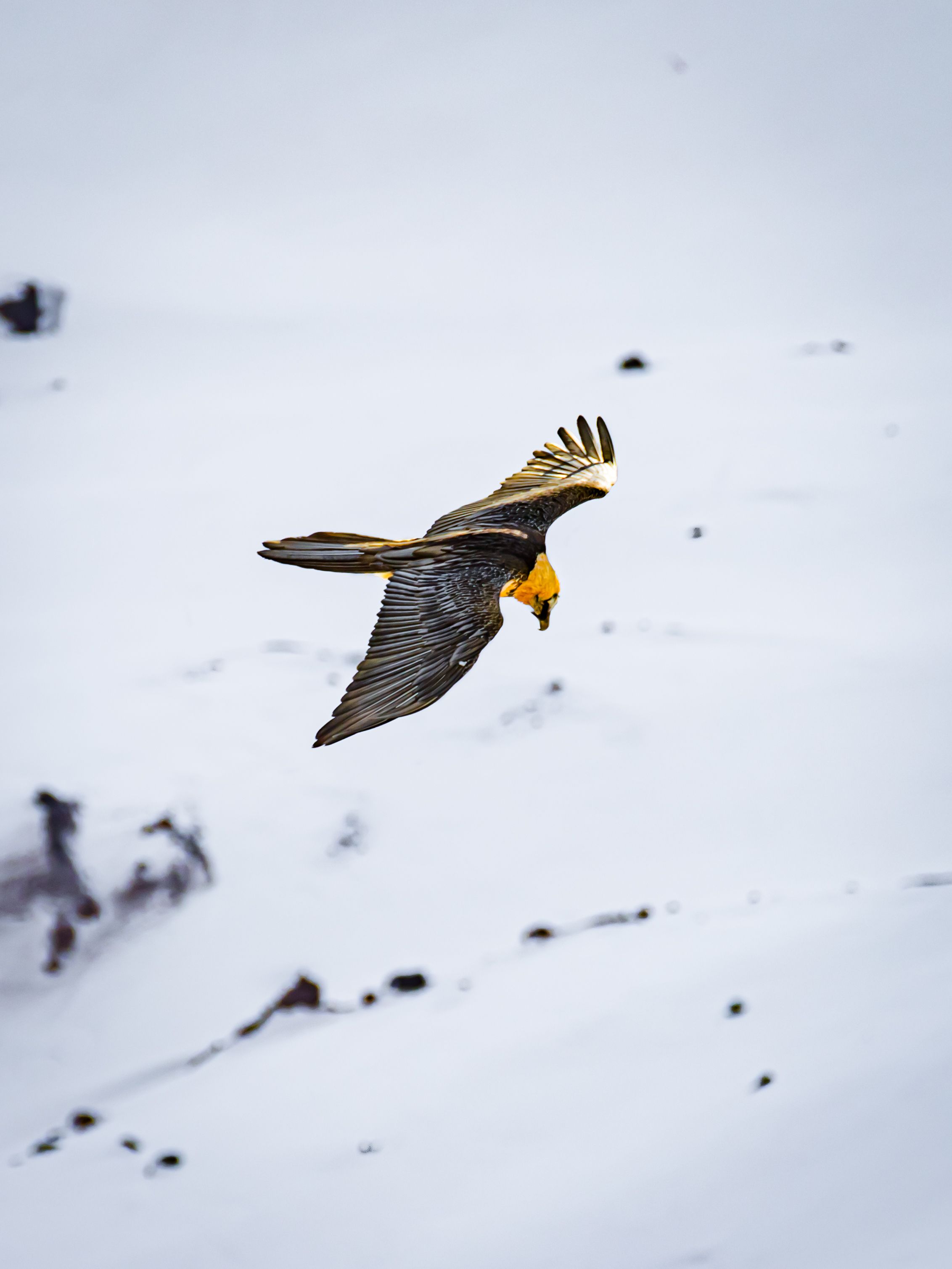 Photograph by Игорь Толкачев