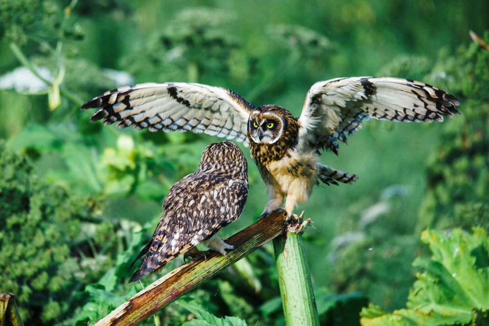 Photograph by Александр Велин