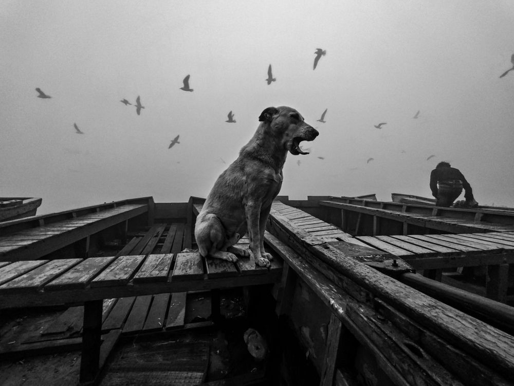 Photograph by HARSHIT MISHRA