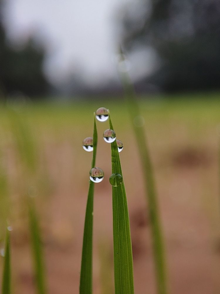 Photograph by Ajit Surin