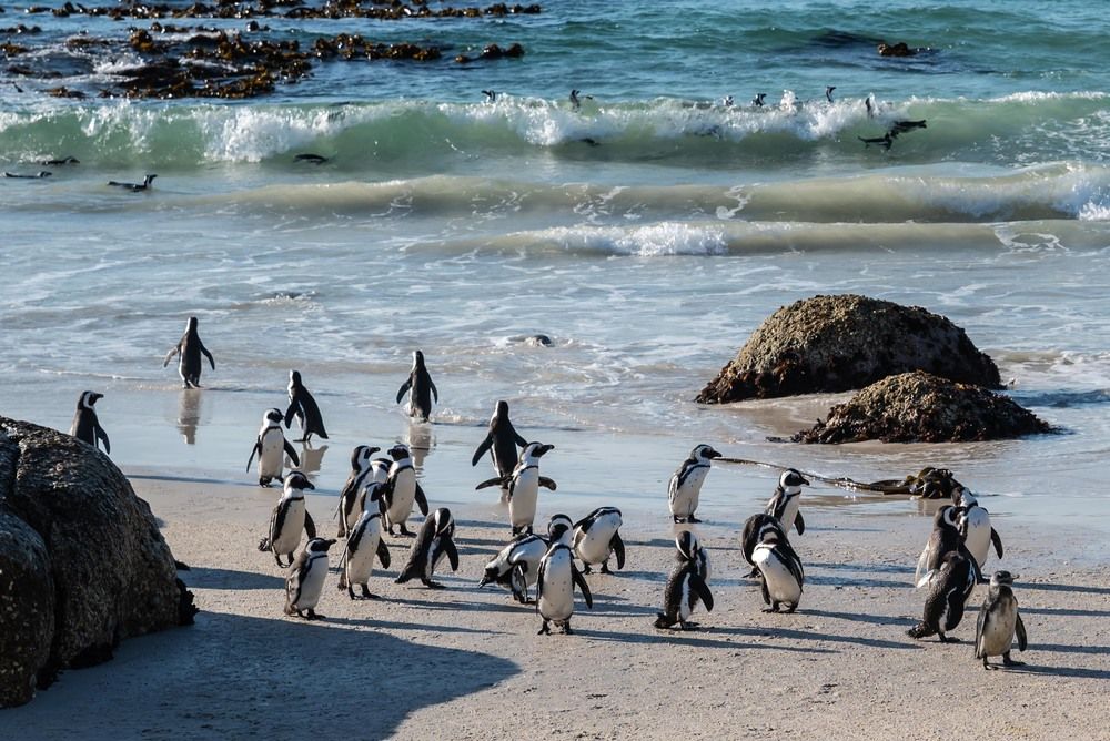 Photograph by Татьяна