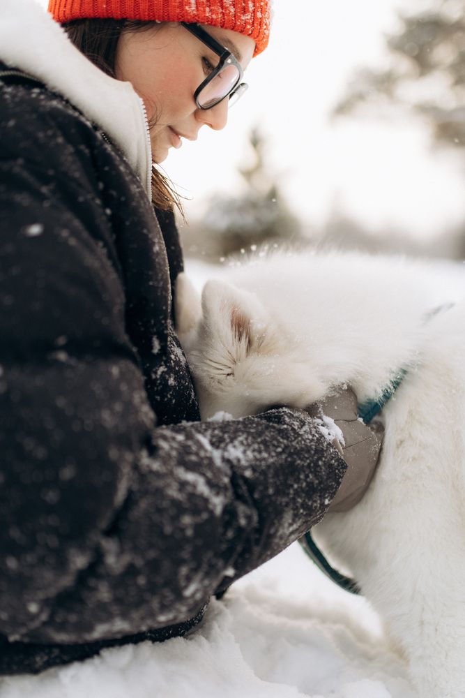 Photograph by Настасья Невзорова