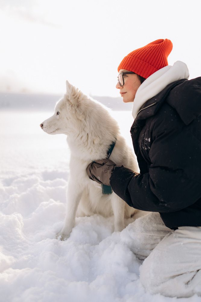 Photograph by Настасья Невзорова