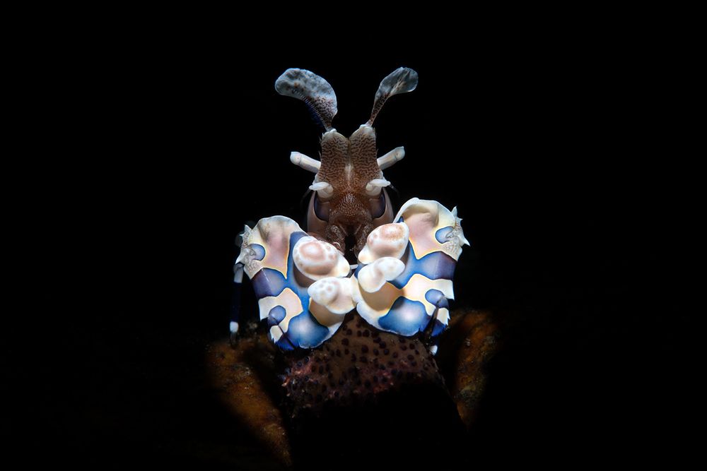 Photograph by Yury Ivanov