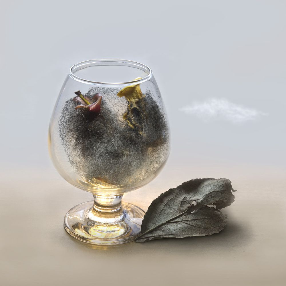 Фотография автора Виктор Кириллов