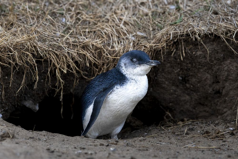 Photograph by Дмитрий Рындин
