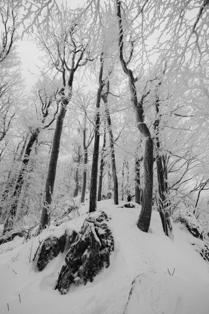Photograph by Amadeja Knez