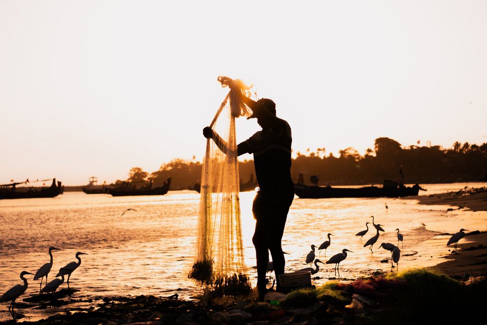 Photograph by GOVIND VISWANATH
