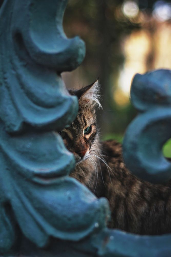 Photograph by Sedat Gökçay