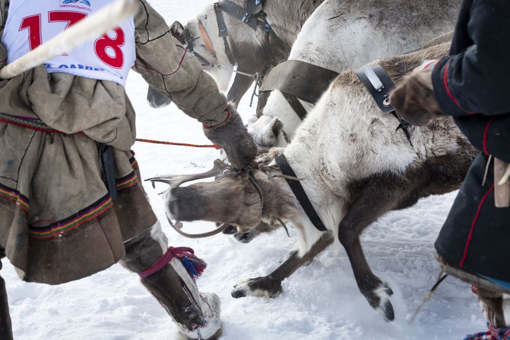 Photograph by Людмила Заботина