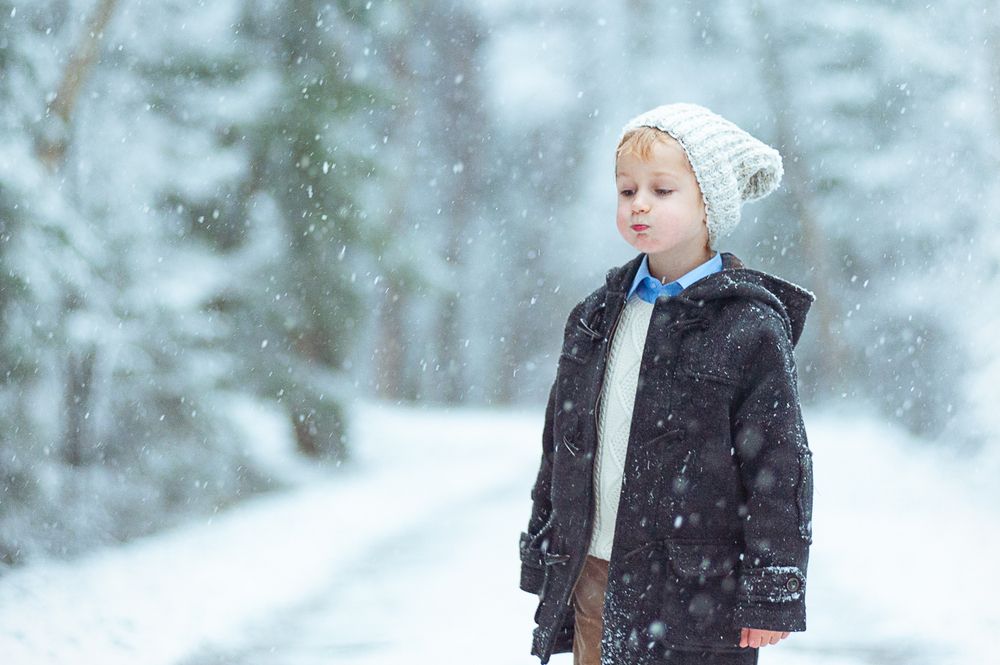 Фотография автора Сафонова Людмила
