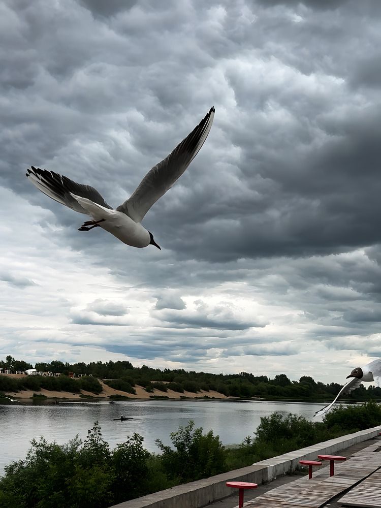 Photograph by Наталья Чехова