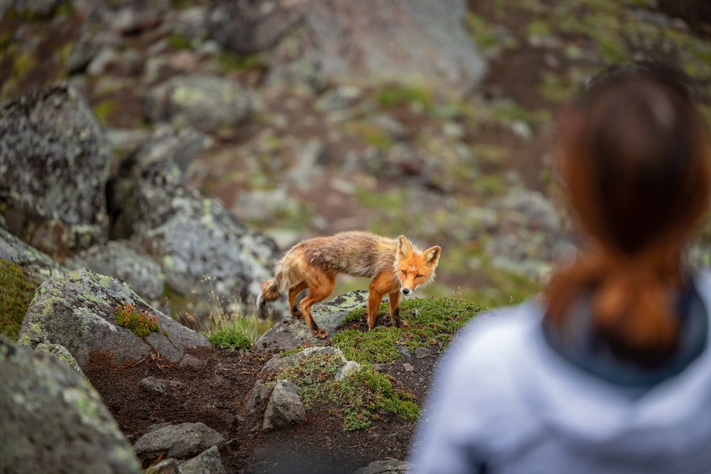 Photograph by Дмитрий Рындин