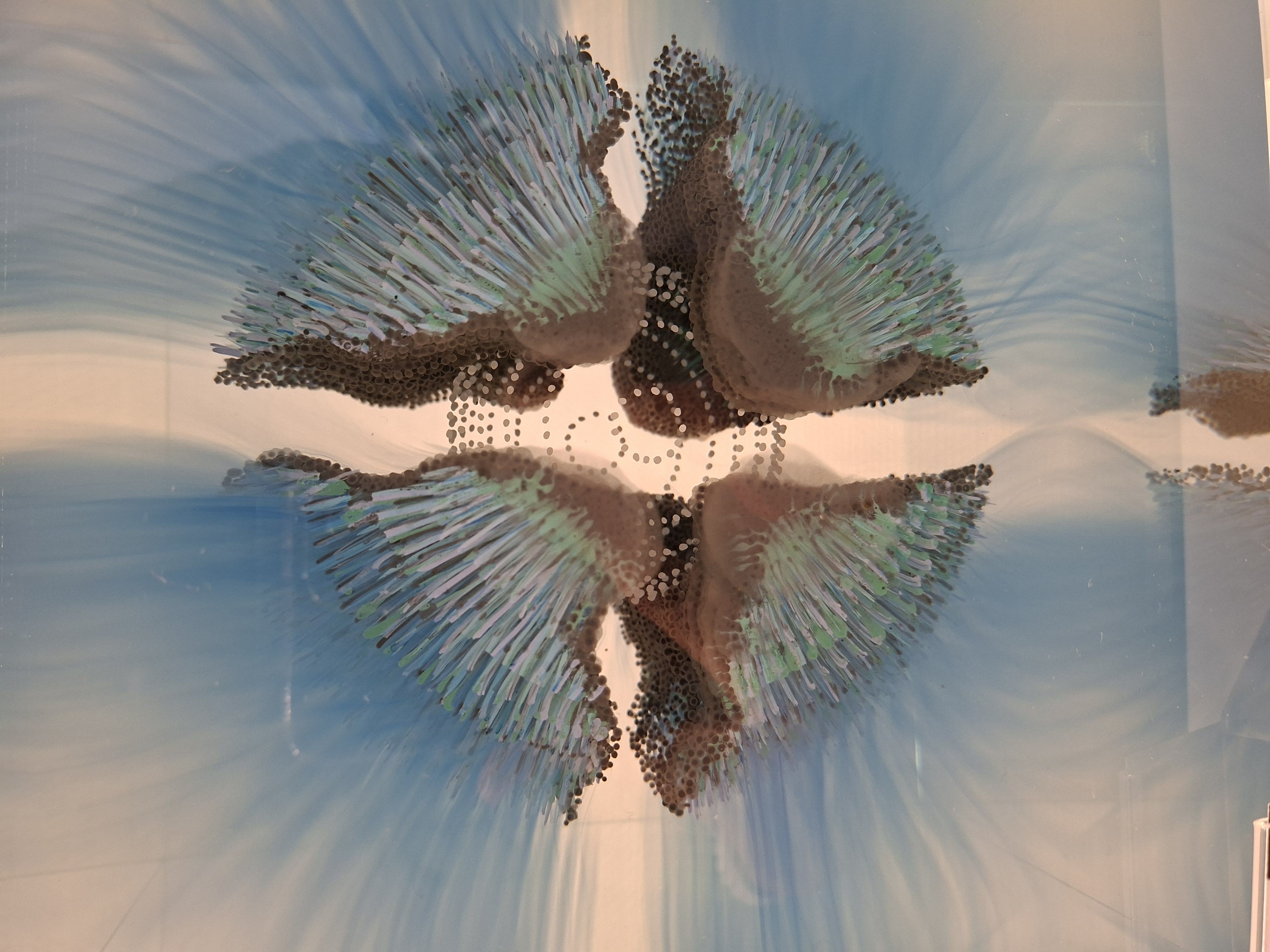 Фотография автора Оксана Зибзибадзе