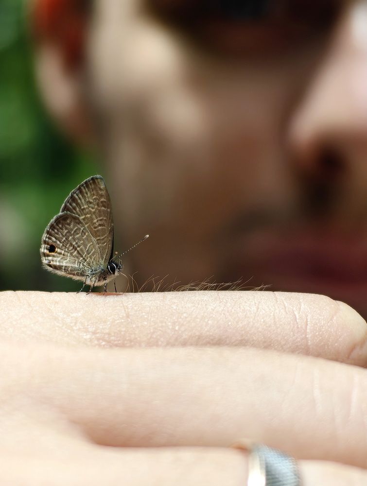 Photograph by Кристина Феминова