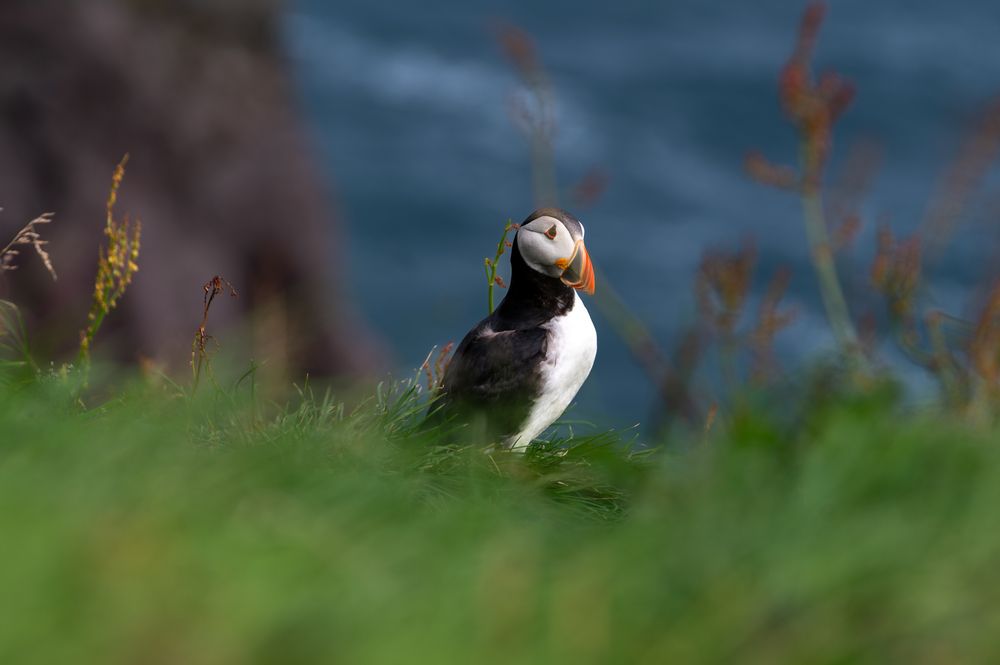 Photograph by Oksana Yermoshenko