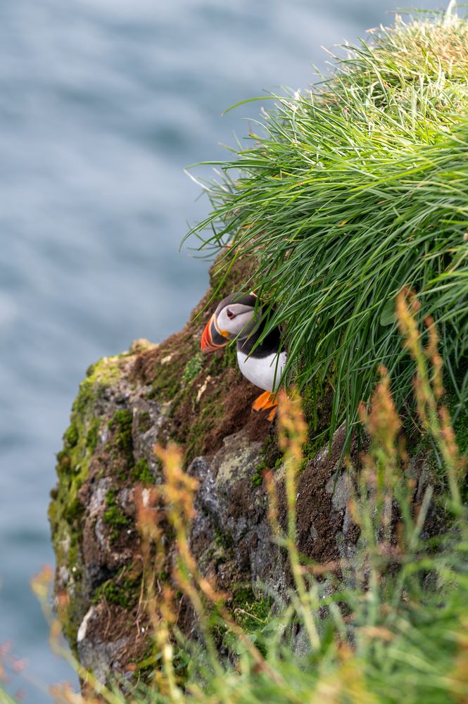 Photograph by Oksana Yermoshenko