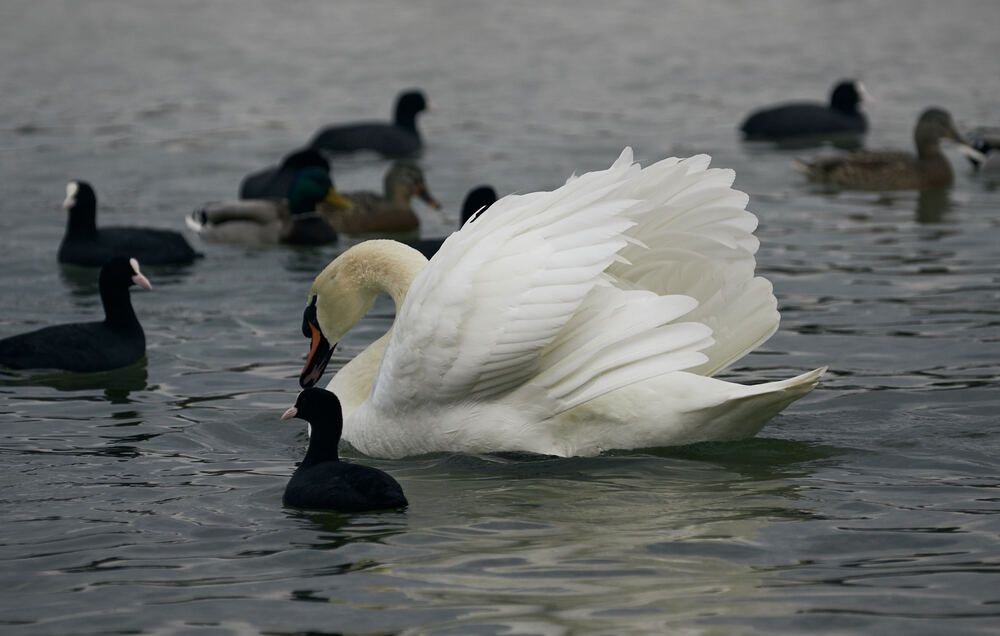 Photograph by Константин Громов