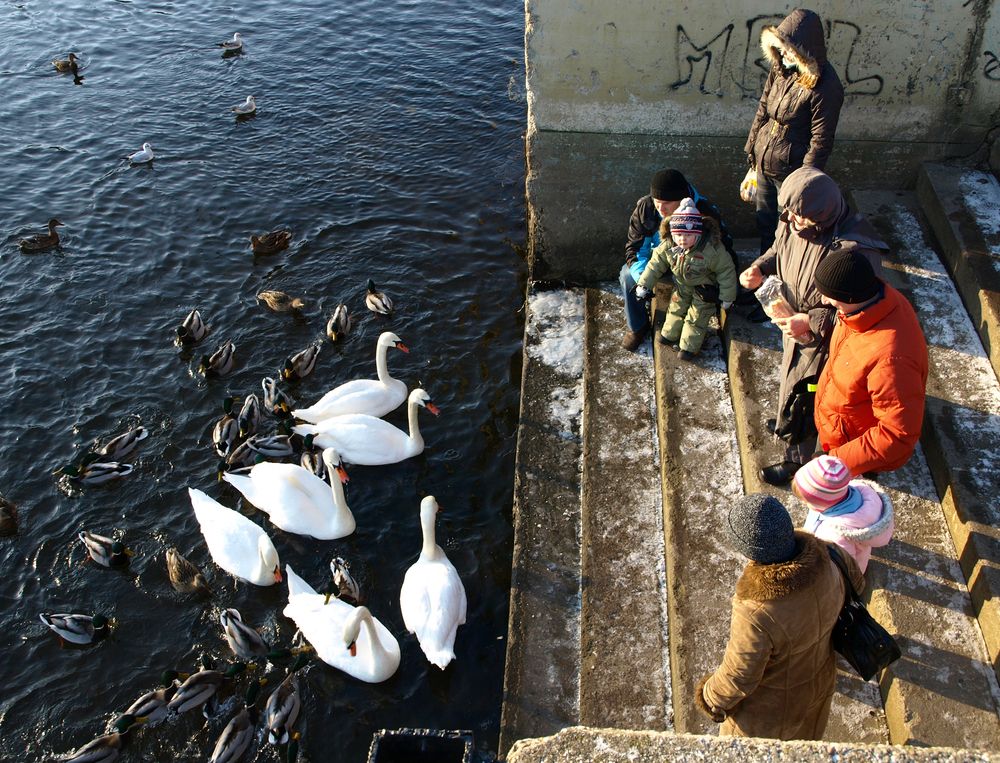 Photograph by Любовь