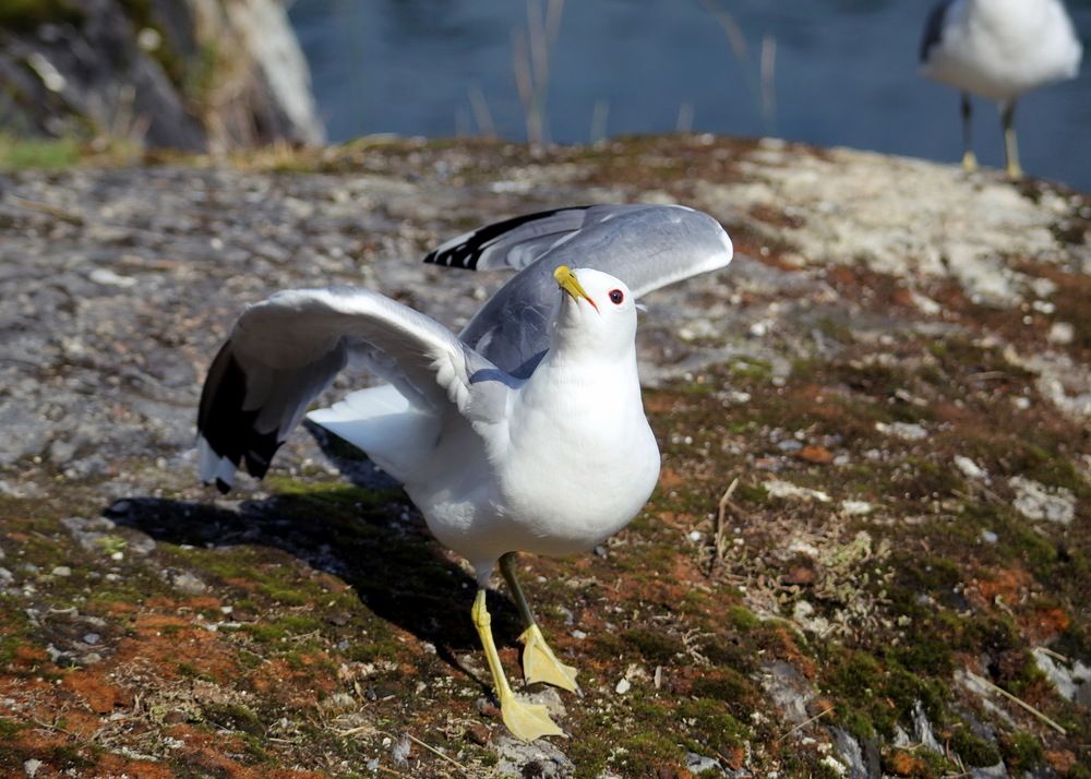 Photograph by Станислав Староверов