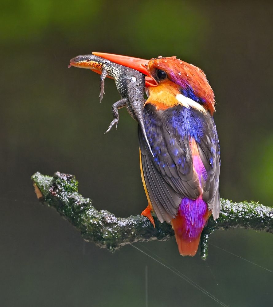 Photograph by Vishal Parmar