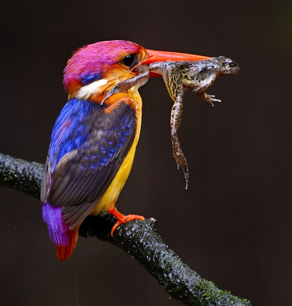 Photograph by Vishal Parmar