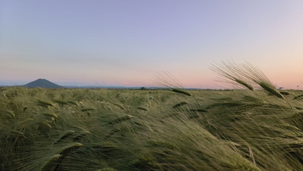 Photograph by Сопин Геннадий