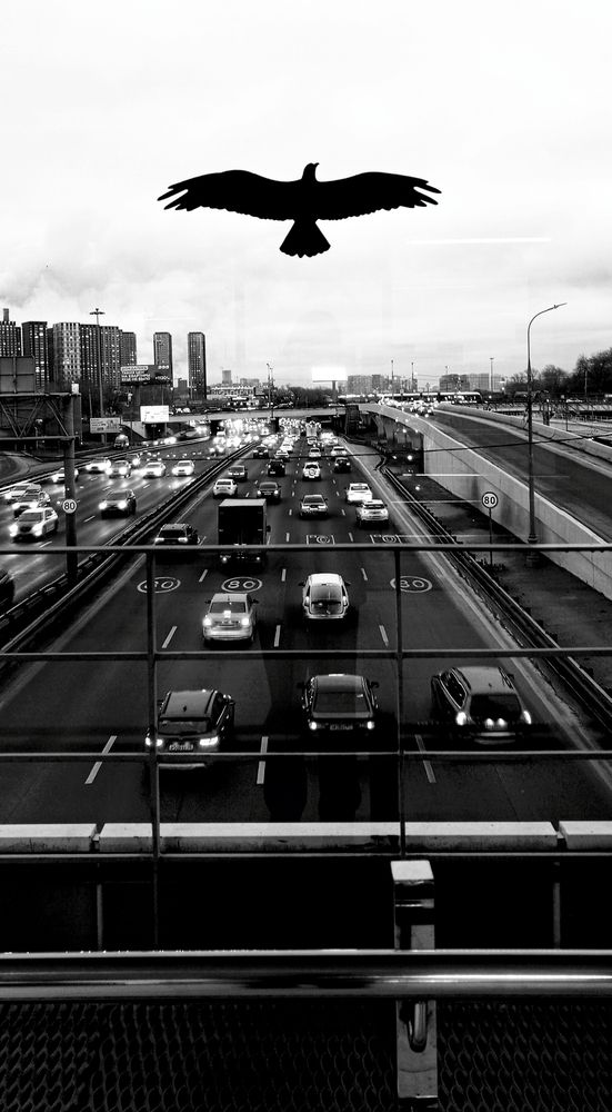 Мегаполис