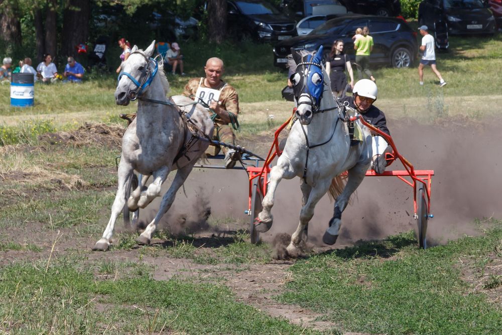 Photograph by виктор ковчин