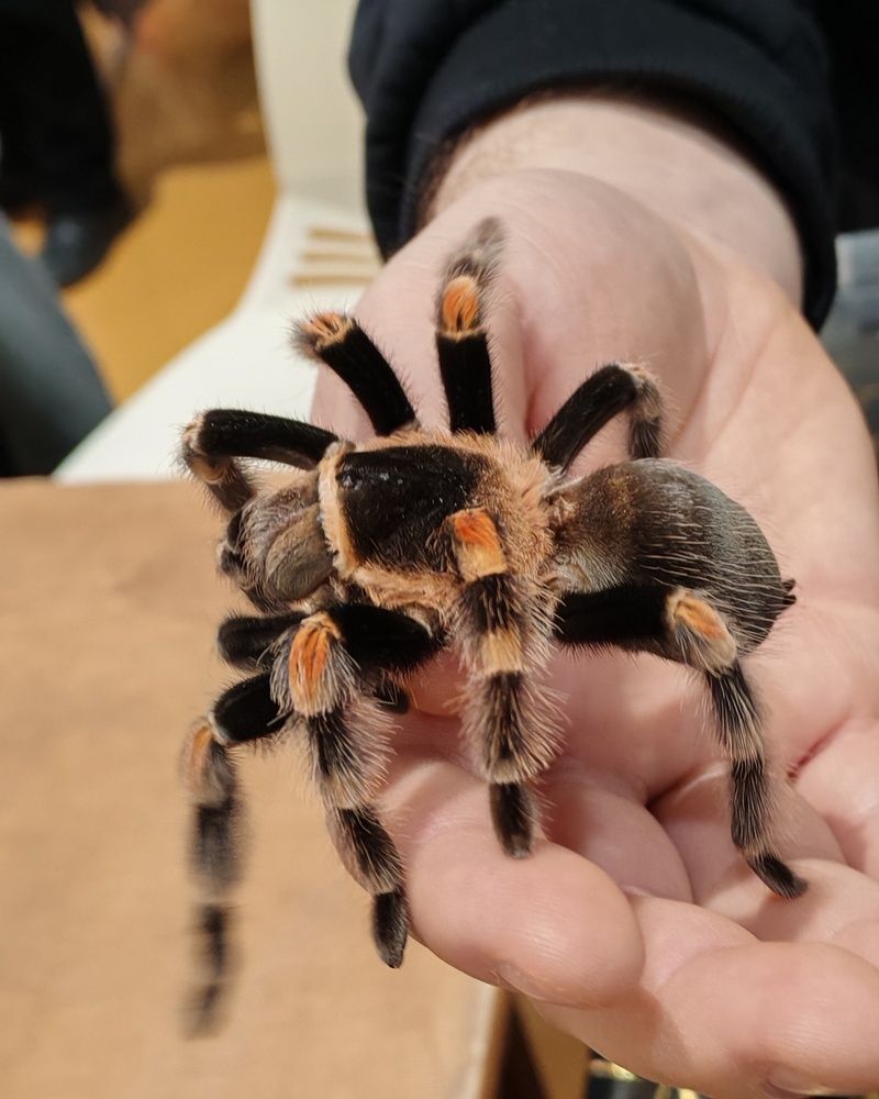 Photograph by Альбина Майкова