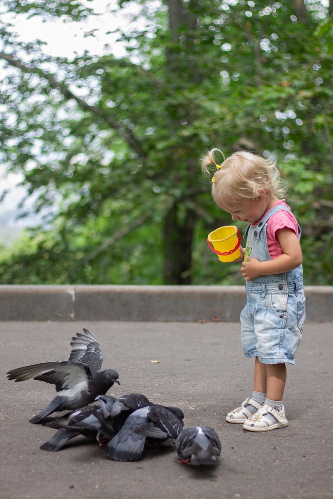 Photograph by Дарья Улюсова