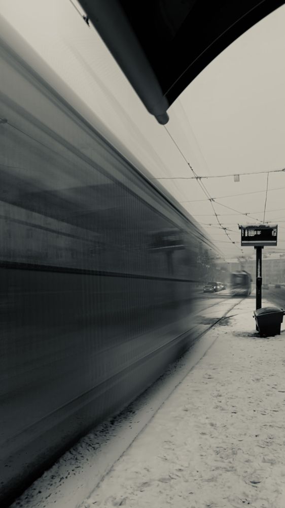 Фотография автора Елизавета Соколова
