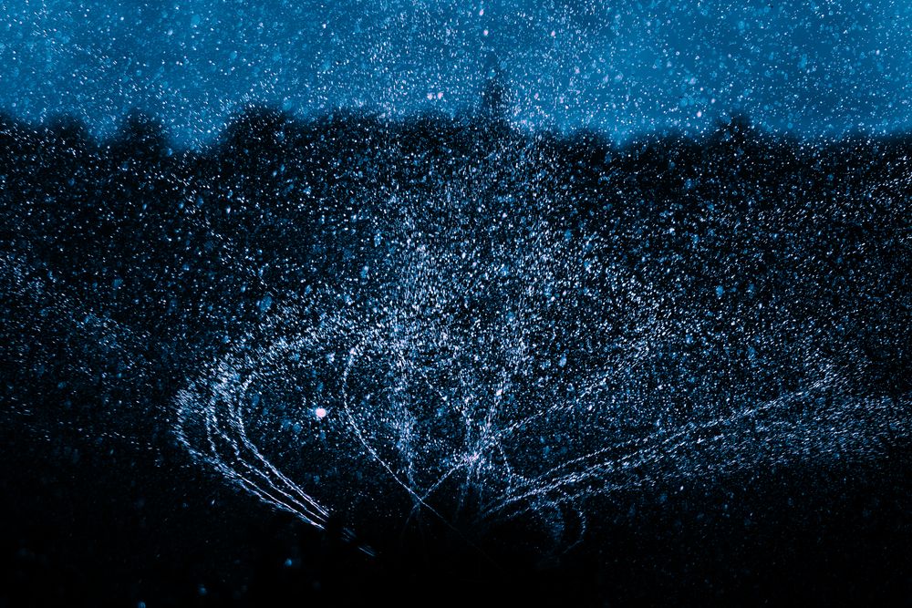 Photograph by KOHAGI