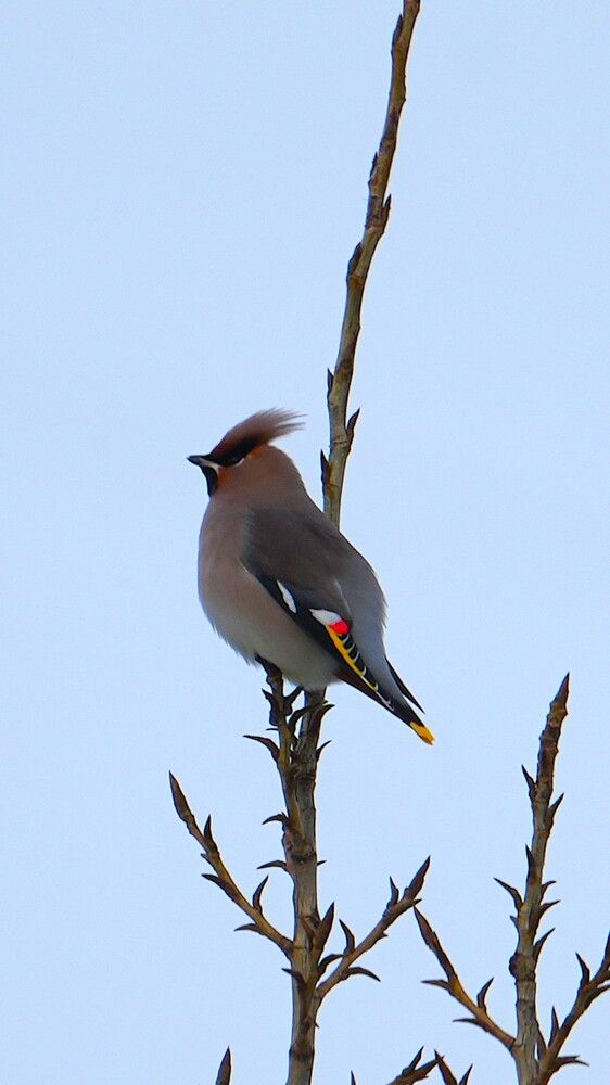 Photograph by Михаил Трусов