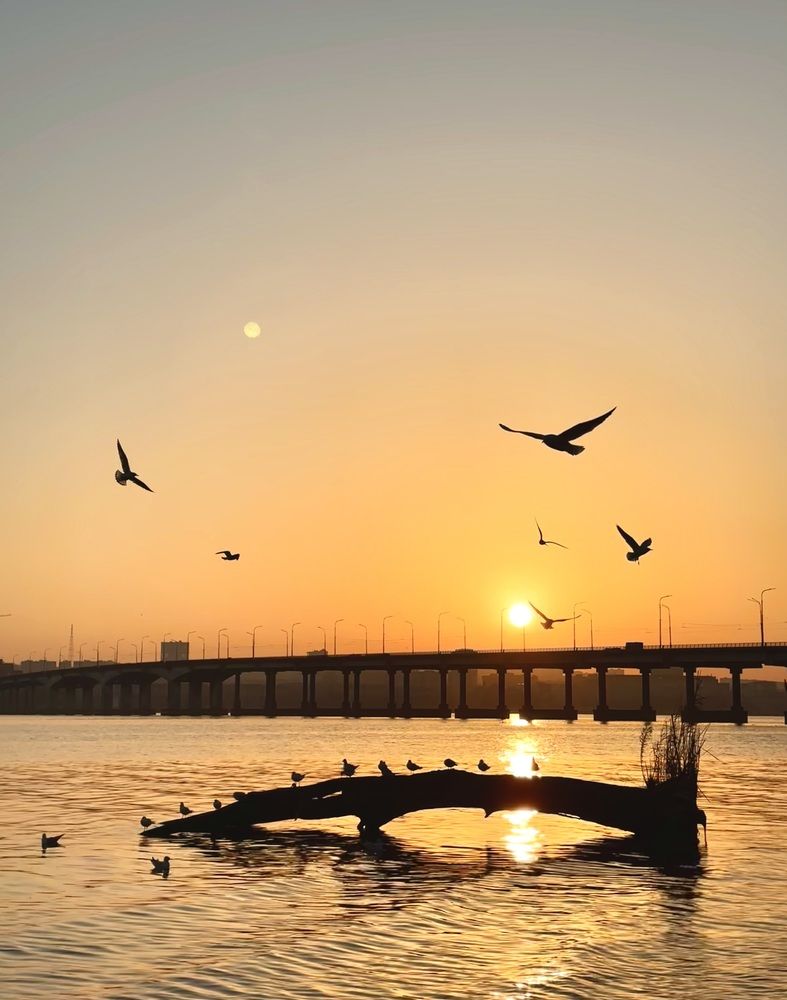 Photograph by Станислав Сычик