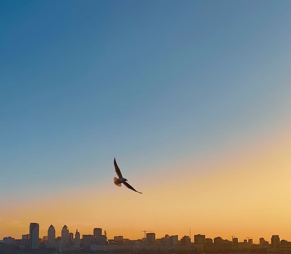 Photograph by Станислав Сычик