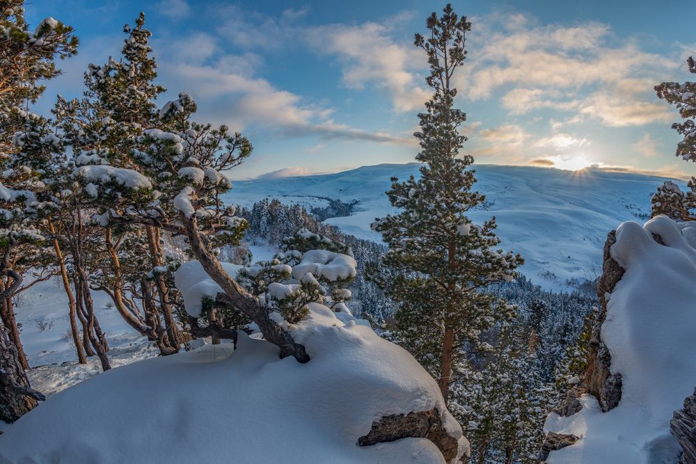 Фотография автора Anatoly