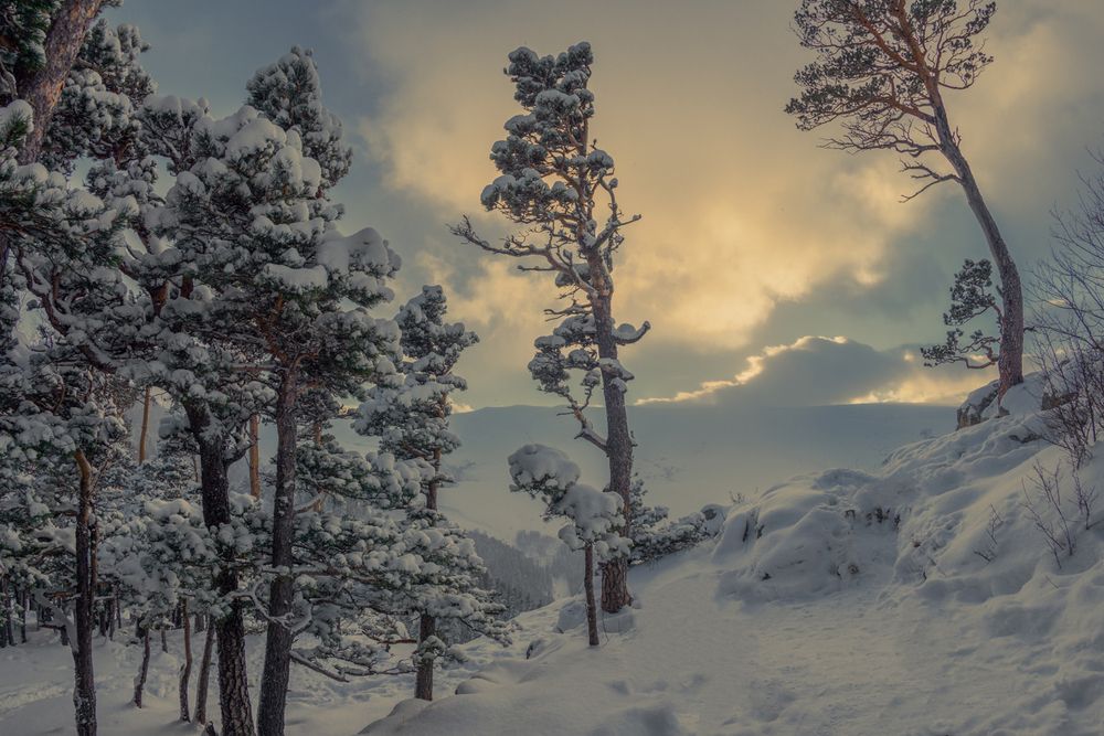 Фотография автора Anatoly