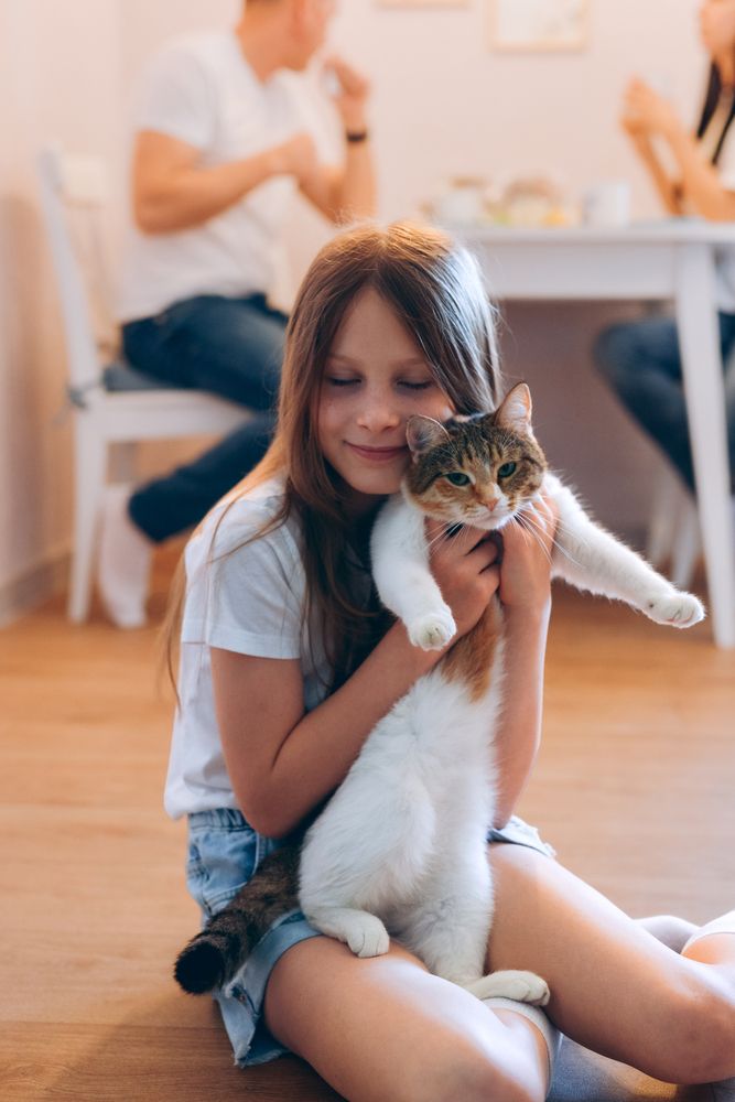 Photograph by Ирина Шестопалова