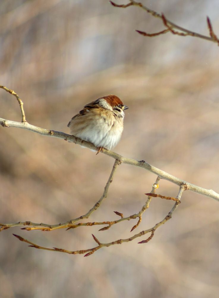 Photograph by Ольга Захарова