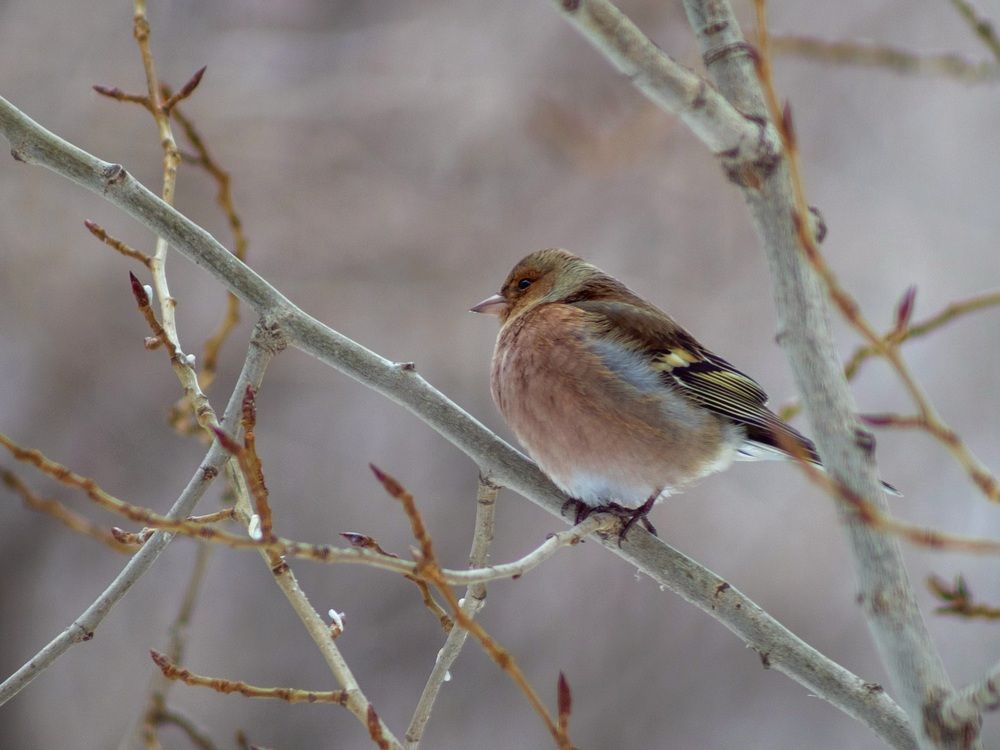 Photograph by Ольга Захарова