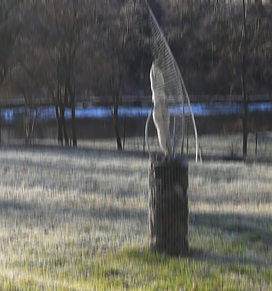 Photograph by ILONA KILA