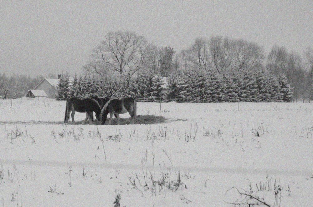 Photograph by ILONA KILA