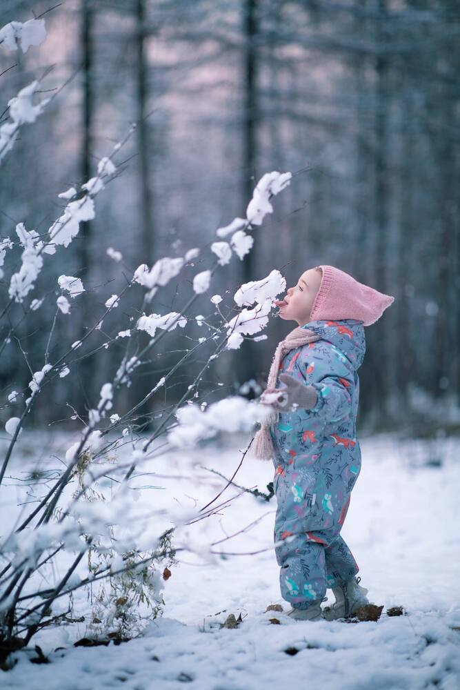 Фотография автора Гроголева Анна