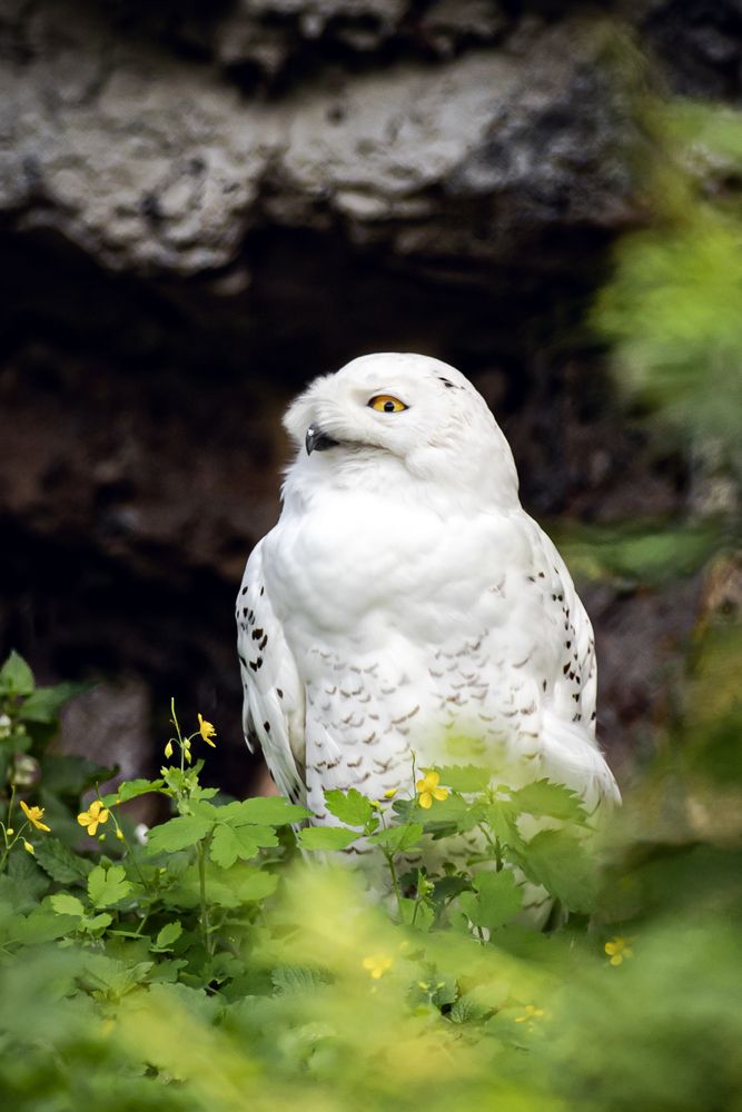 Photograph by Игорь Толкачев